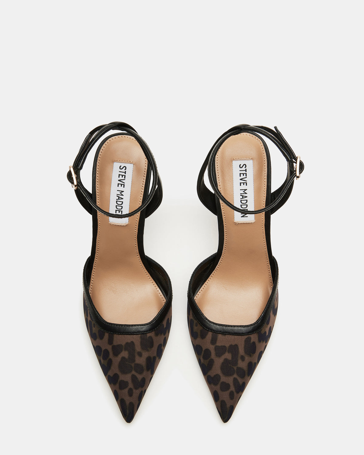 ALLIANCE Mesh Leopard Pointed-Toe Pump Women's Heel | Steve Madden Featured