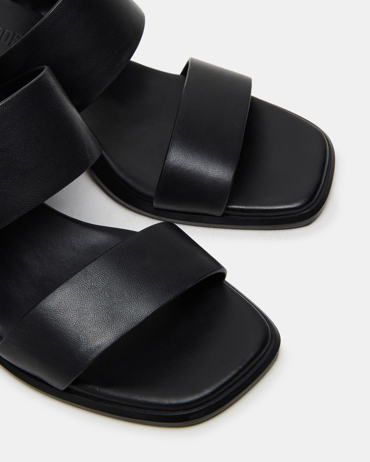 SYCAMORE Black Leather Square-Toe Mule Women's Heel | Steve Madden New