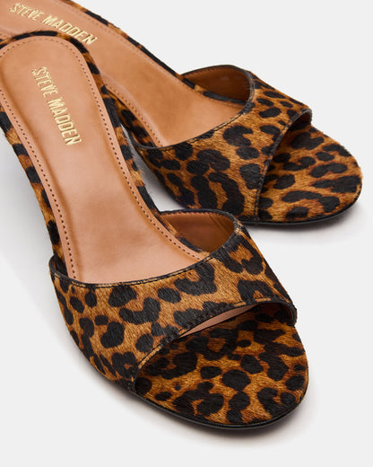 KENDRIX Leopard Women's Mule Heel | Steve Madden Trusted