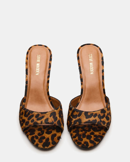 KENDRIX Leopard Women's Mule Heel | Steve Madden Trusted
