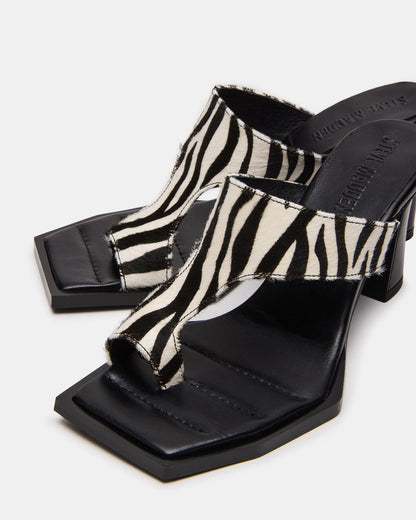 ALAMEDA Zebra Square-Toe Mule Women's Heel | Steve Madden Trending