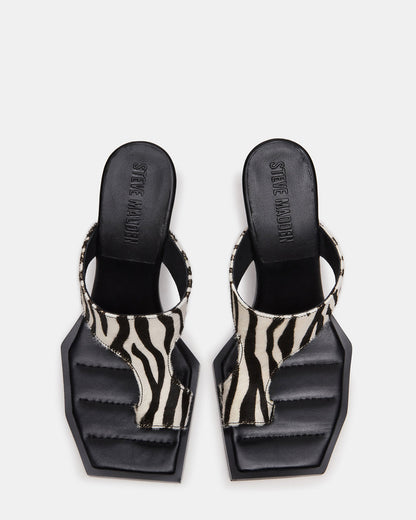 ALAMEDA Zebra Square-Toe Mule Women's Heel | Steve Madden Trending