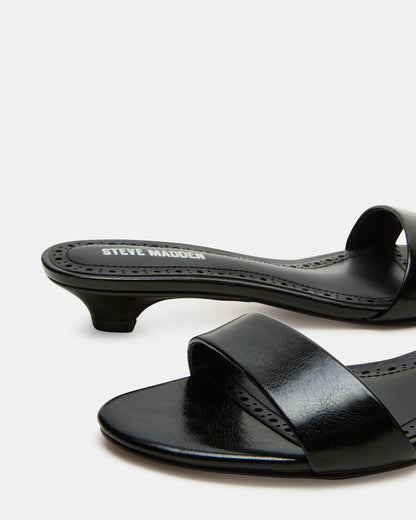 BERRY Black Women's Mule Kitten Heel | Steve Madden Sale