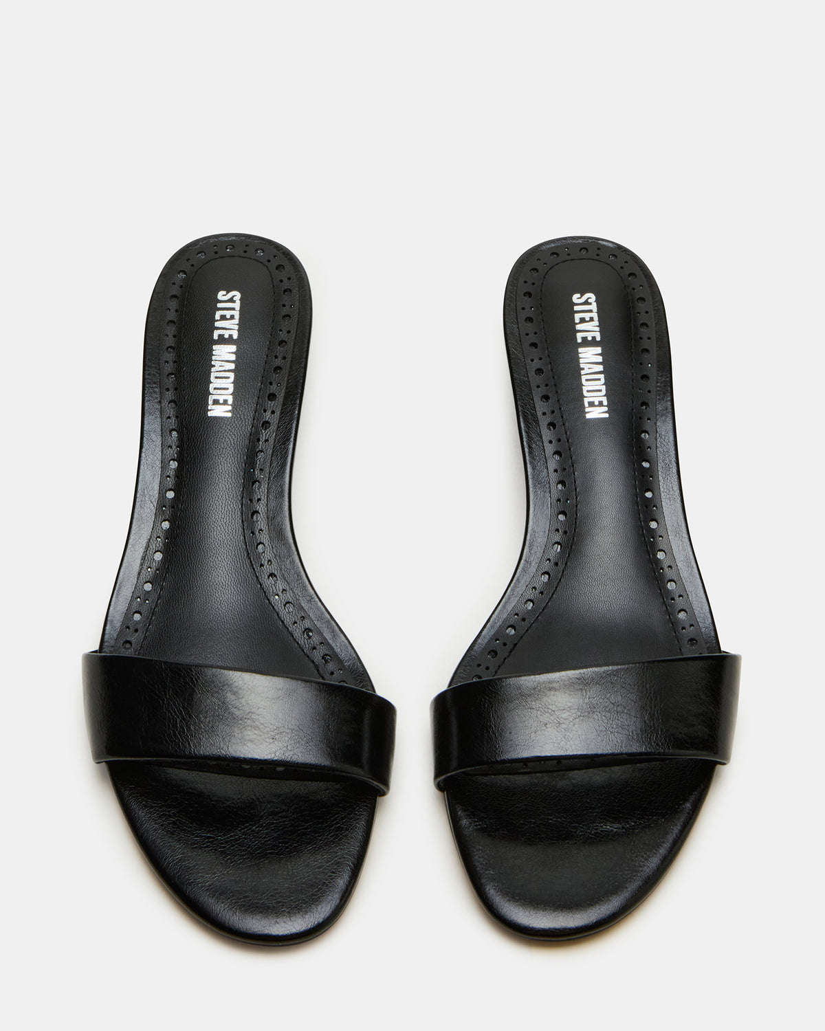 BERRY Black Women's Mule Kitten Heel | Steve Madden Sale