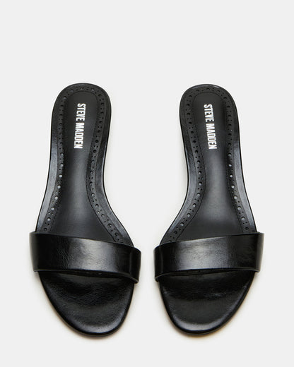BERRY Black Women's Mule Kitten Heel | Steve Madden Sale