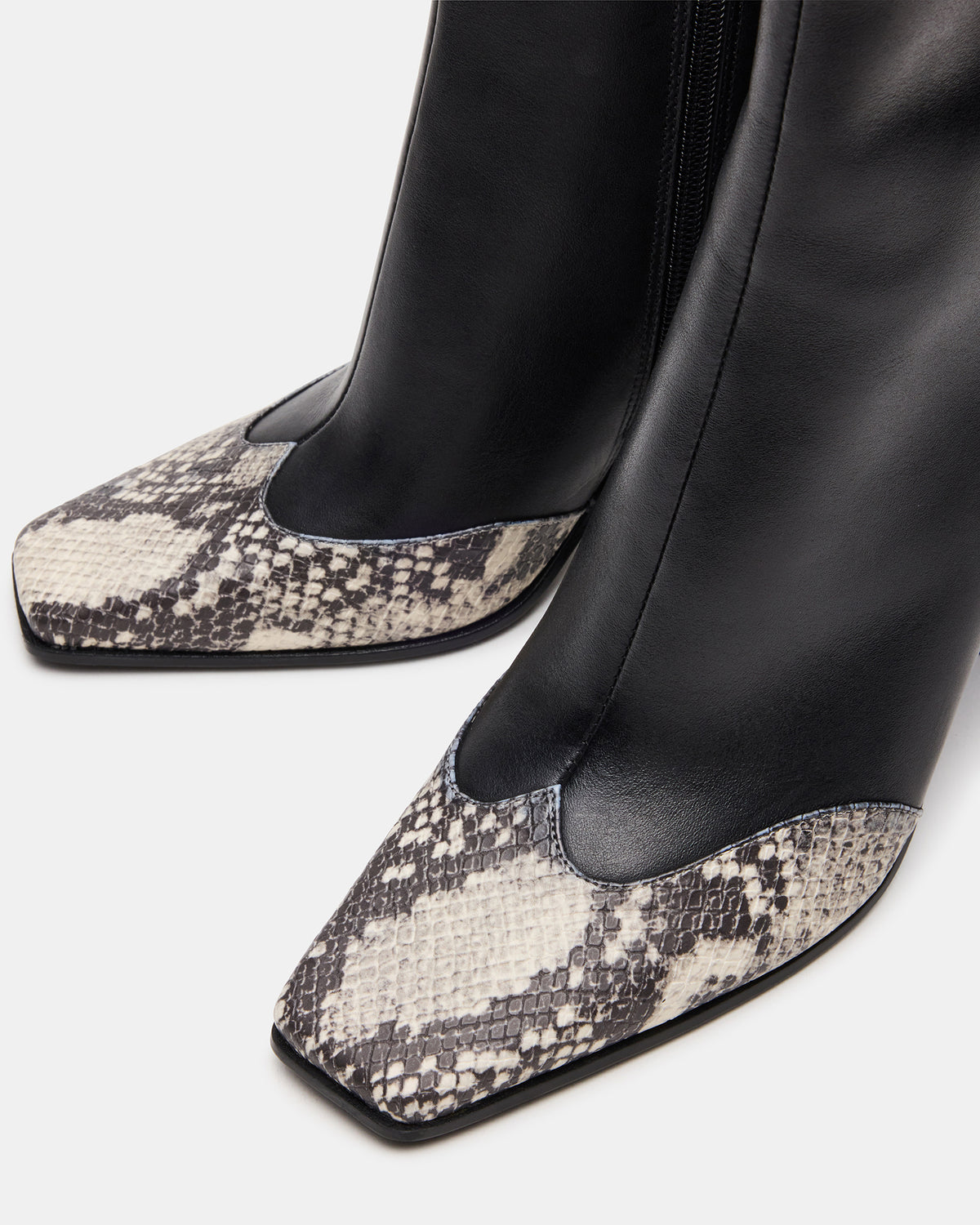 LYLE Black Leather with Snake Square-Toe Heeled Women's Ankle Boot | Steve Madden Everyday