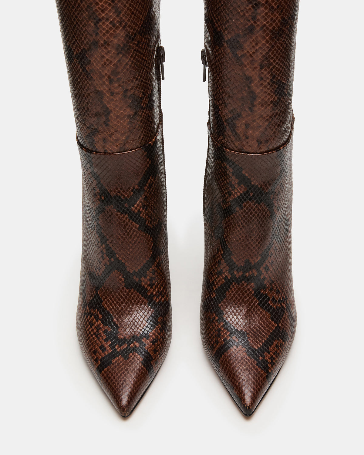 NITRO Brown Snake Pointed-Toe Stiletto Heel Knee-High Women's Boots | Steve Madden Exclusive