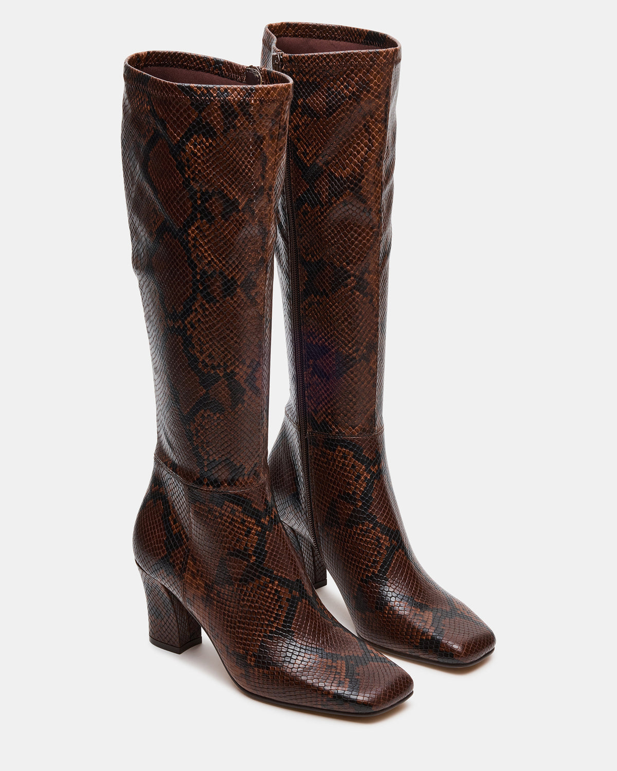 ELLIOT Brown Snake Square-Toe Knee-High Block Heel Women's Boot | Steve Madden Featured