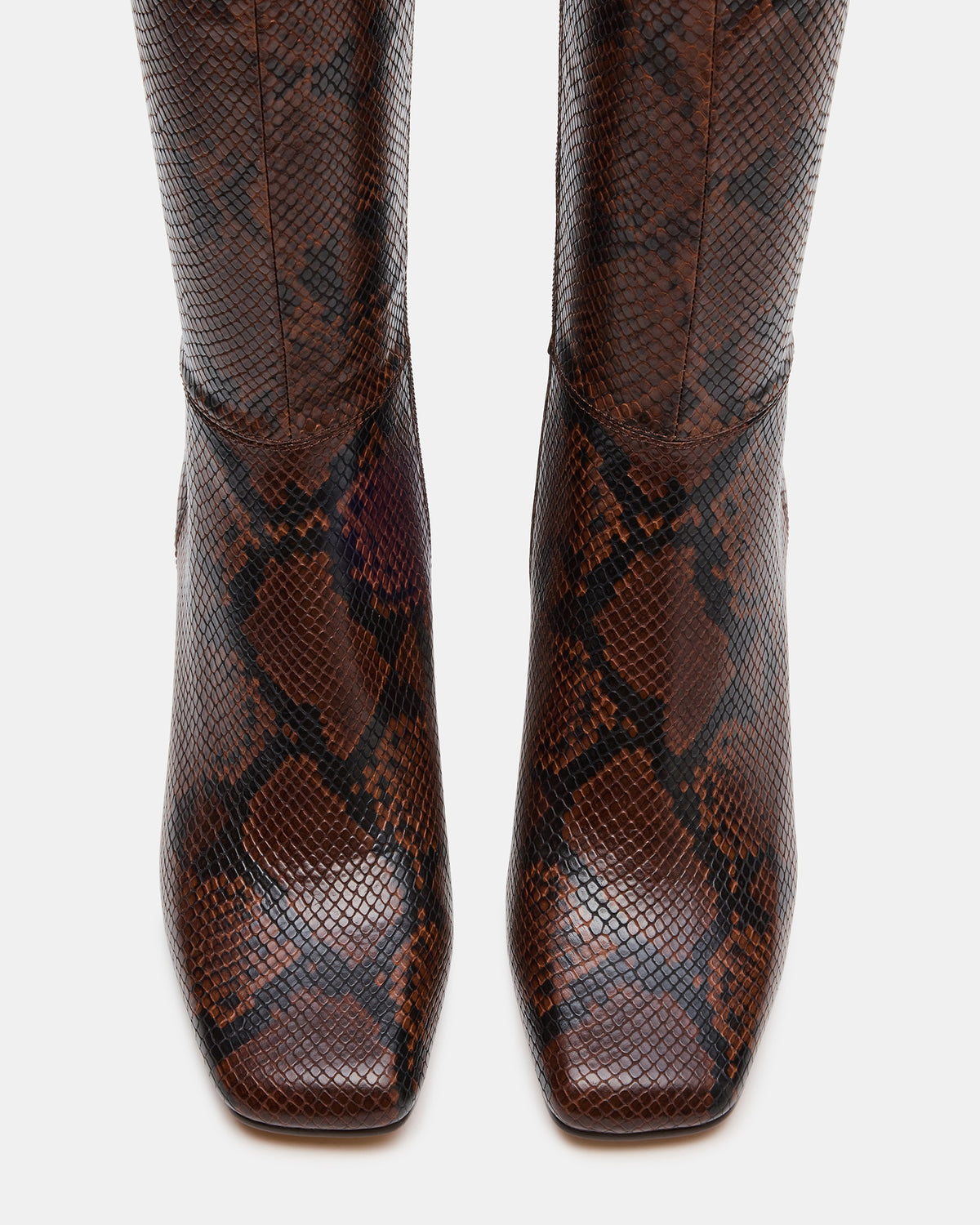 ELLIOT Brown Snake Square-Toe Knee-High Block Heel Women's Boot | Steve Madden Featured