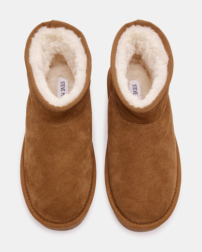 COMFY Chestnut Suede Women's Ankle Boot | Steve Madden Best Price