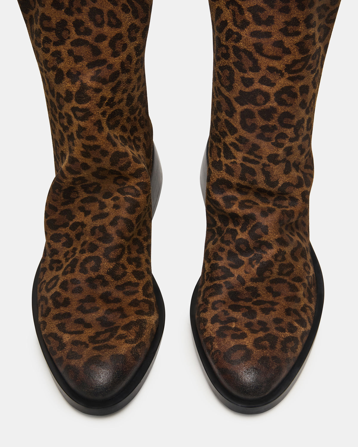 NEXIE Leopard Women's Pointed-Toe Ankle Boot | Steve Madden Trending