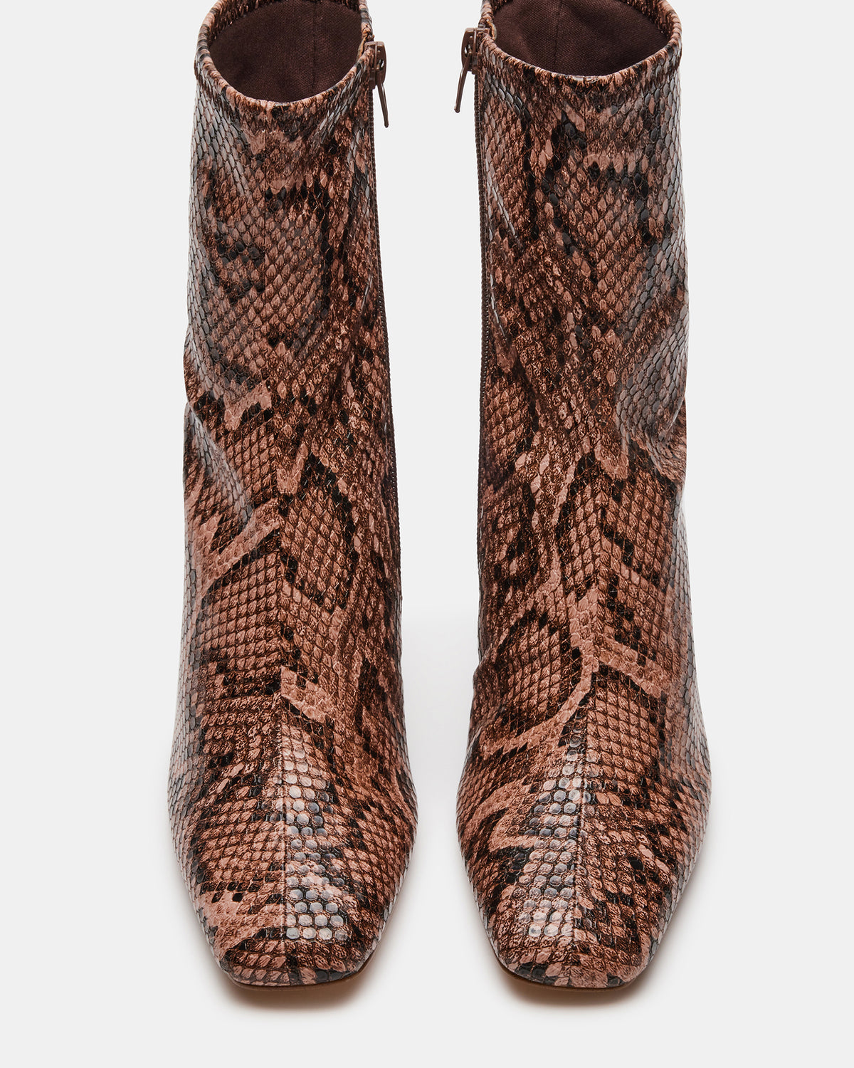 HUSH Snake Square Toe Bootie | Women's Ankle Boots | Steve Madden Best Seller
