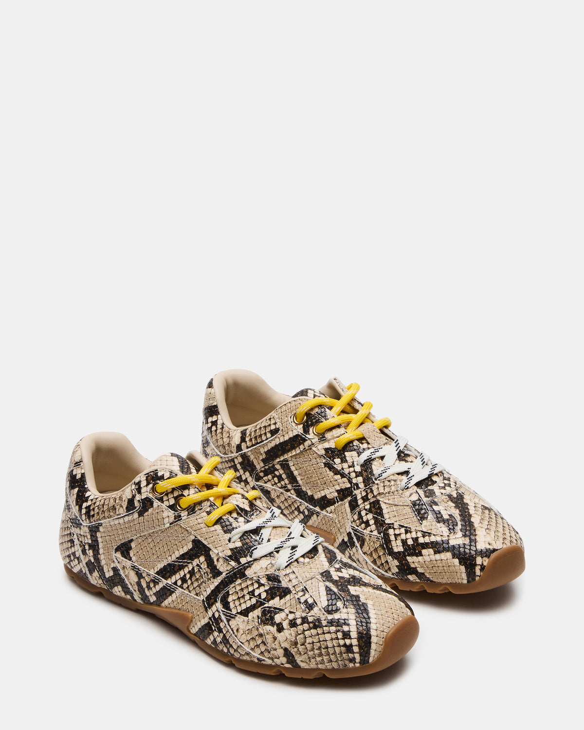 AZIEL Tan Snake Low-Top Lace-Up Women's Sneakers | Steve Madden Popular