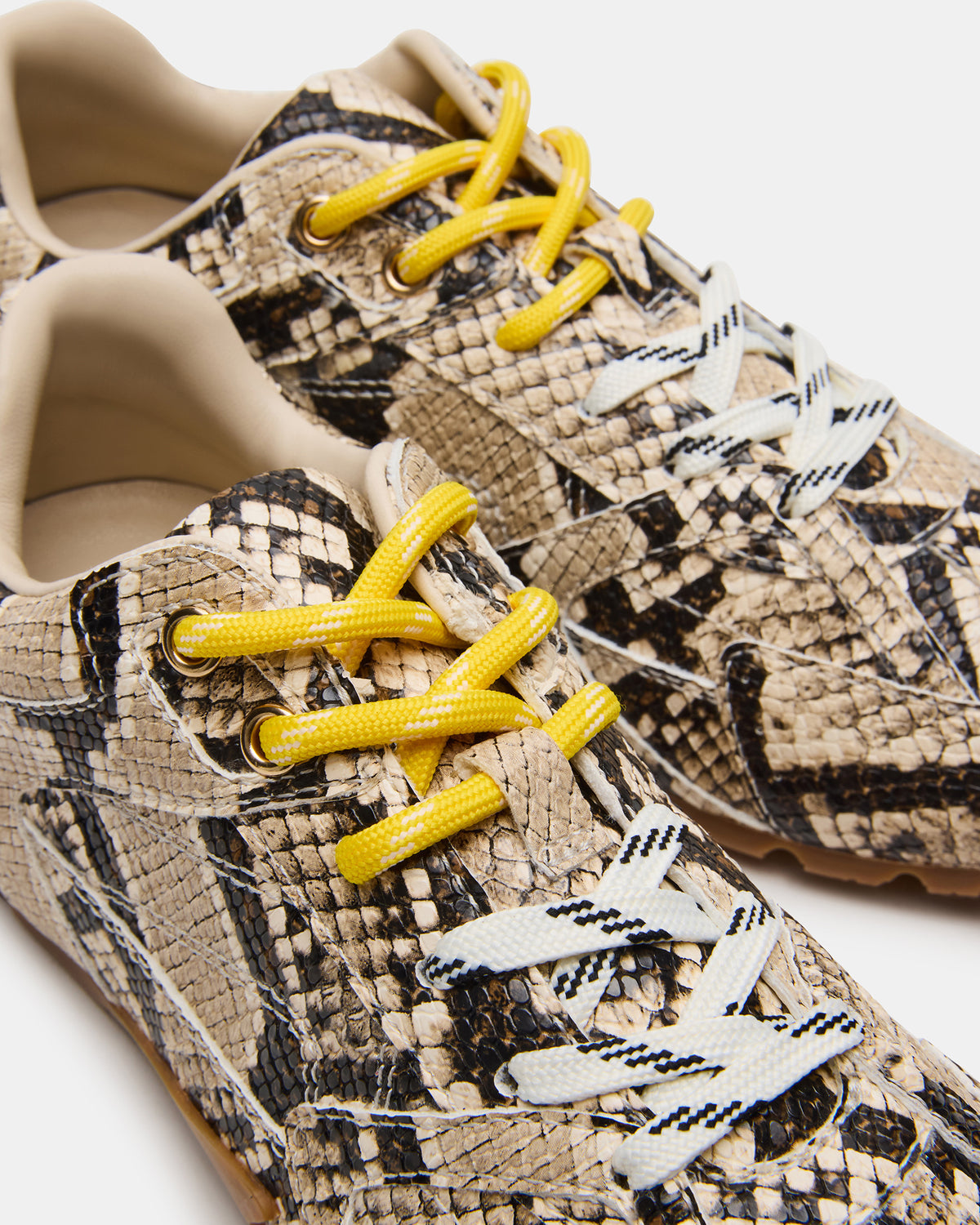 AZIEL Tan Snake Low-Top Lace-Up Women's Sneakers | Steve Madden Popular