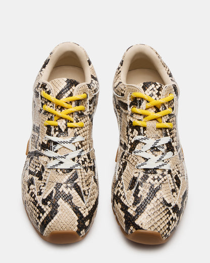 AZIEL Tan Snake Low-Top Lace-Up Women's Sneakers | Steve Madden Popular