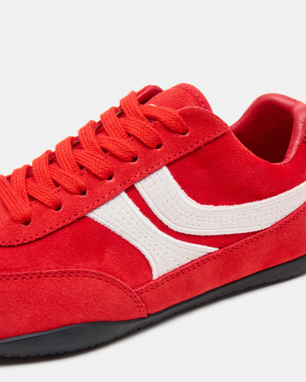 DOBSON Red Women's Low-Top Lace-Up Sneaker | Steve Madden Recommended