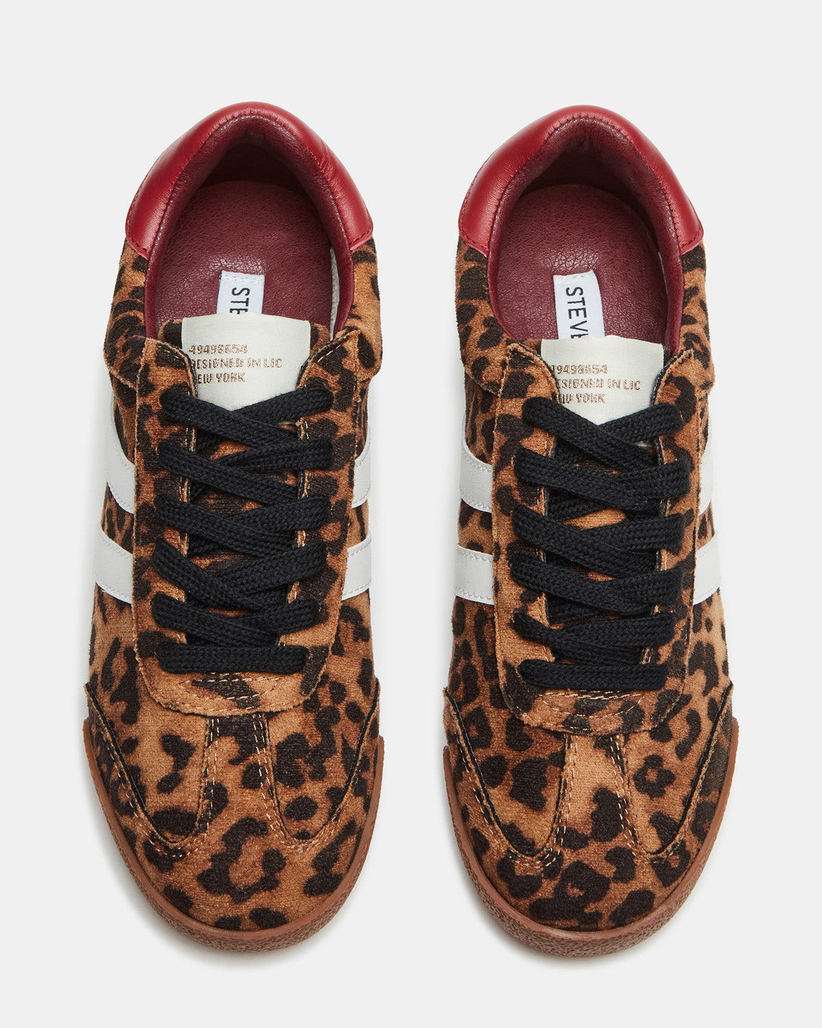HUDSIN Leopard Women's Lace-Up Low-Top Sneaker | Steve Madden Signature