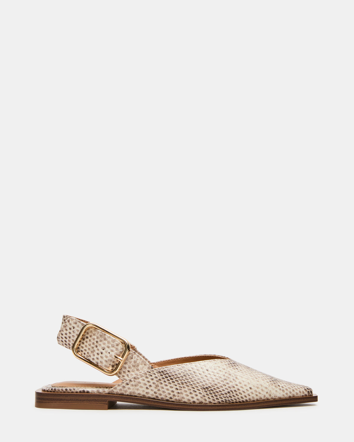 SHAY Snake Pointed-Toe Slingback Ballet Women's Flat | Steve Madden Customer Favorite