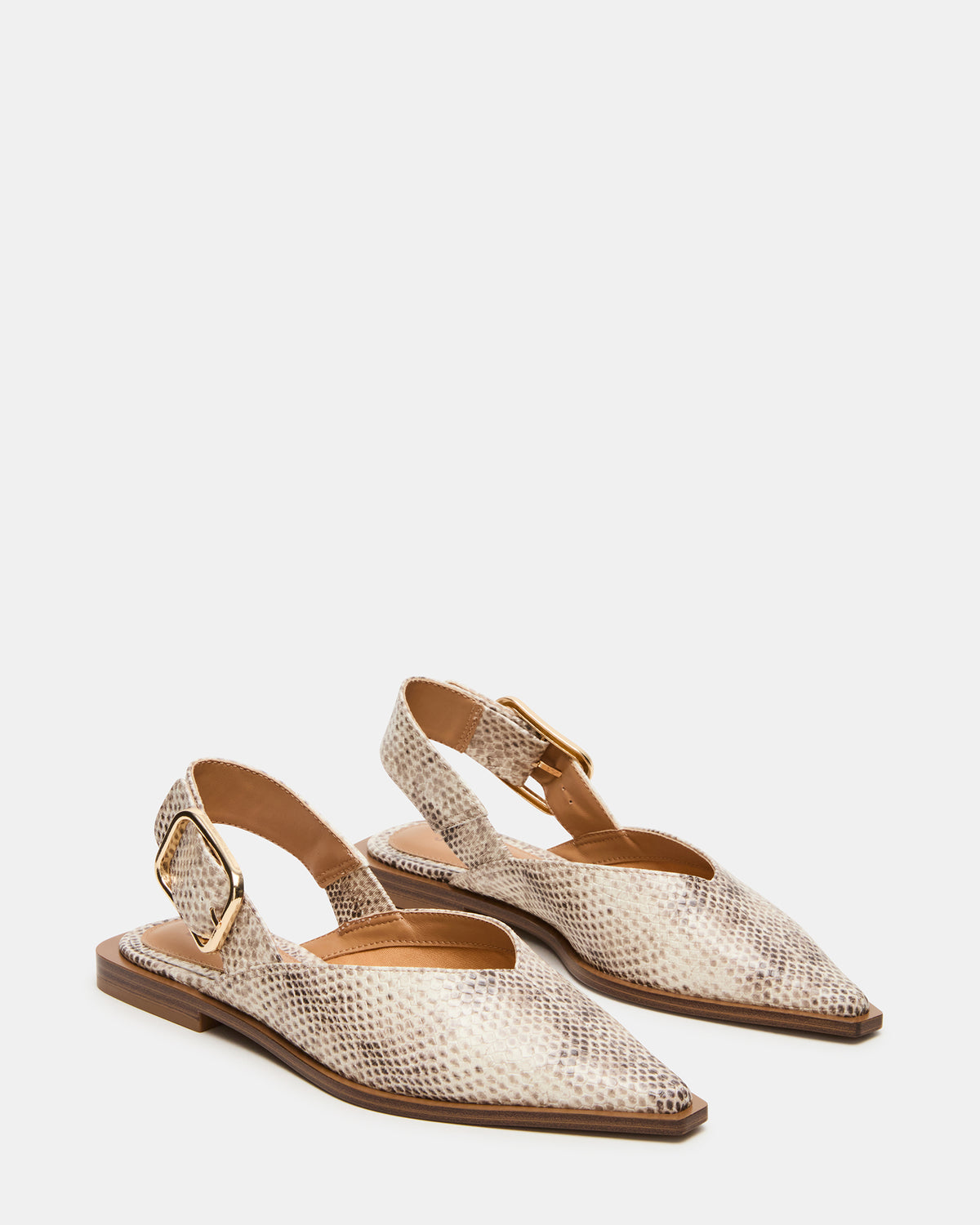 SHAY Snake Pointed-Toe Slingback Ballet Women's Flat | Steve Madden Customer Favorite