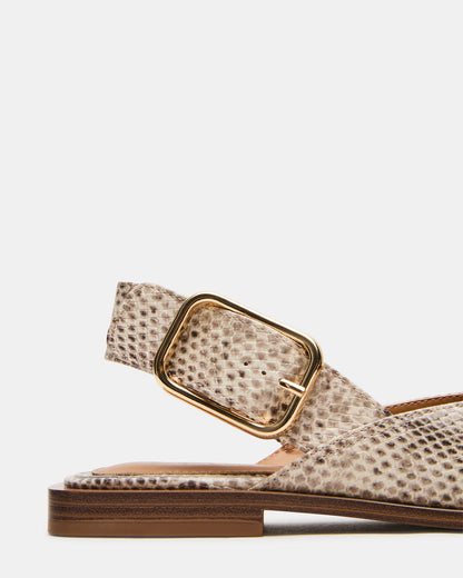 SHAY Snake Pointed-Toe Slingback Ballet Women's Flat | Steve Madden Customer Favorite