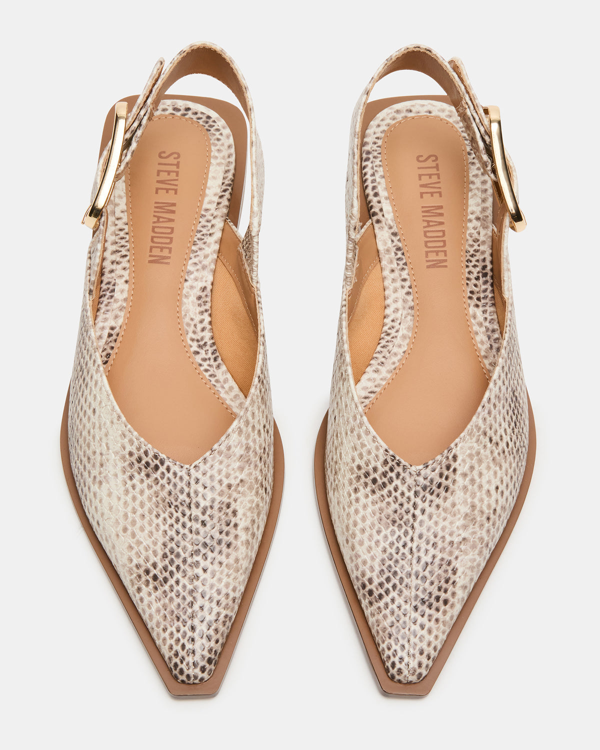 SHAY Snake Pointed-Toe Slingback Ballet Women's Flat | Steve Madden Customer Favorite
