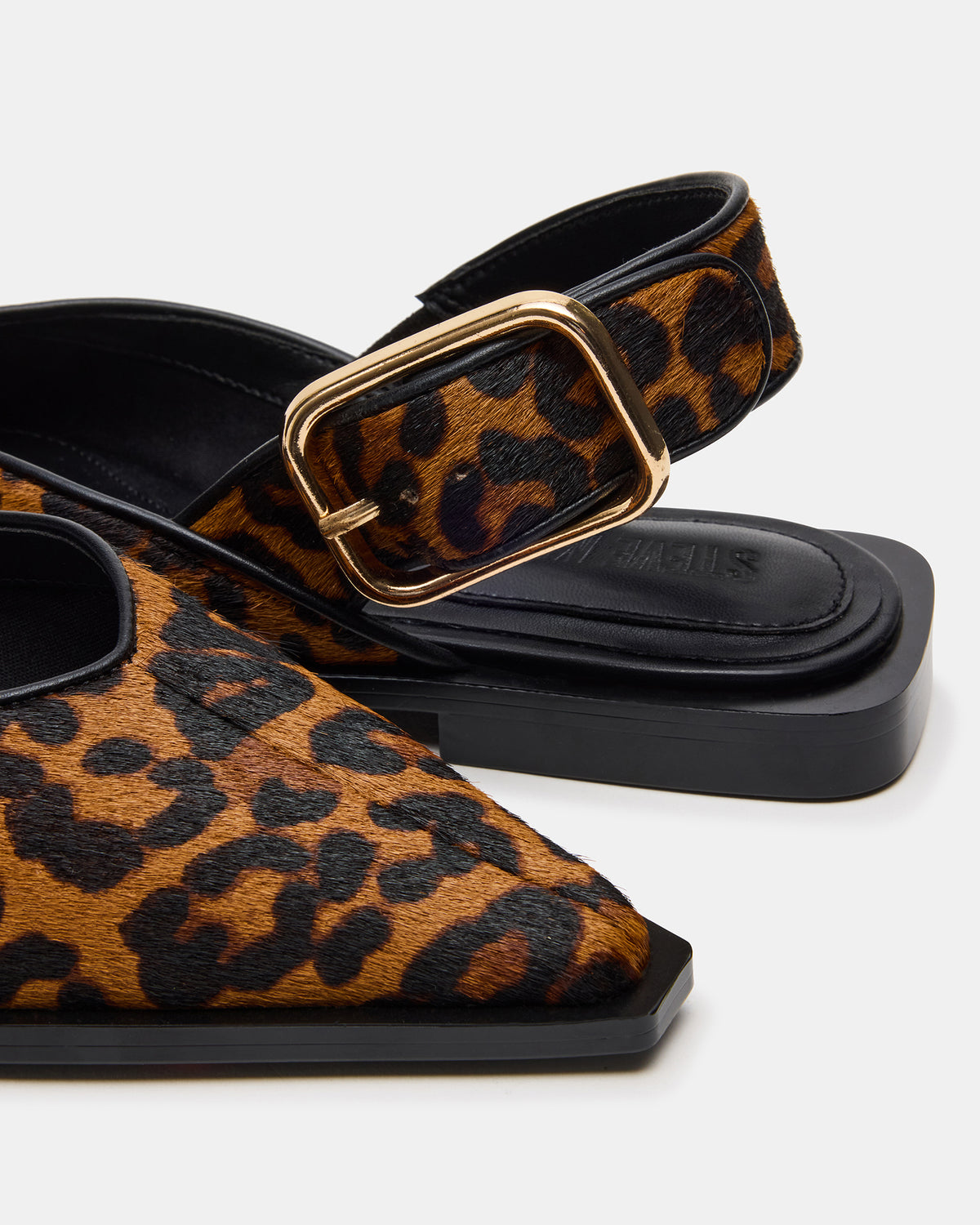SHAY Leopard Pointed-Toe Slingback Ballet Women's Flat | Steve Madden Smart Buy