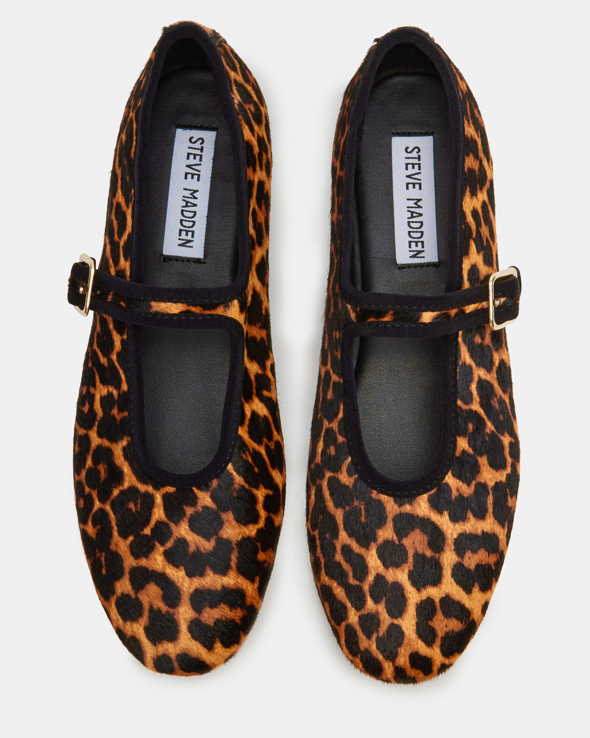 DREAMING Leopard Women's Mary Jane Flats | Steve Madden Quality