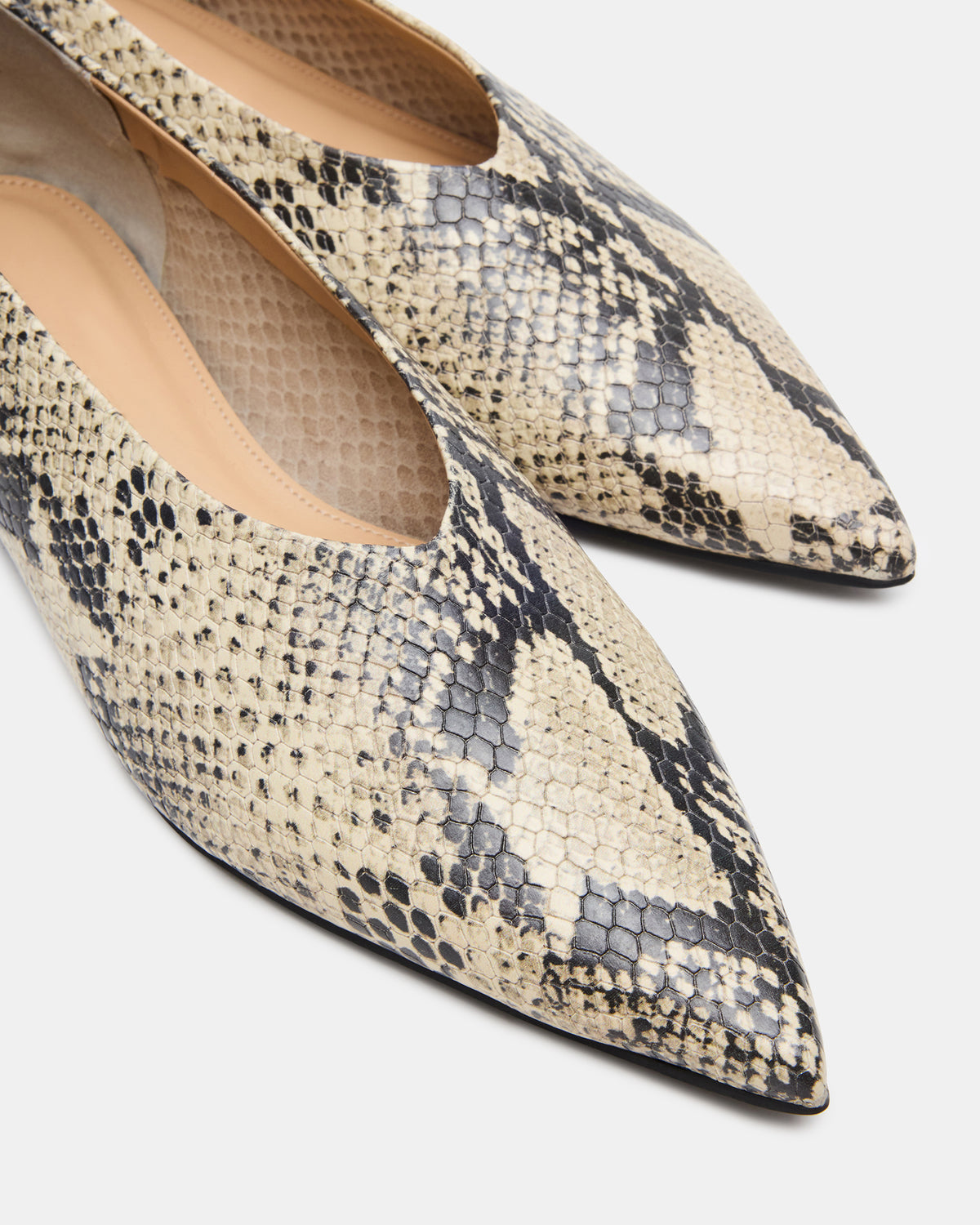 FLOYD Snake Pointed-Toe Ballet Women's Flat | Steve Madden Customer Favorite