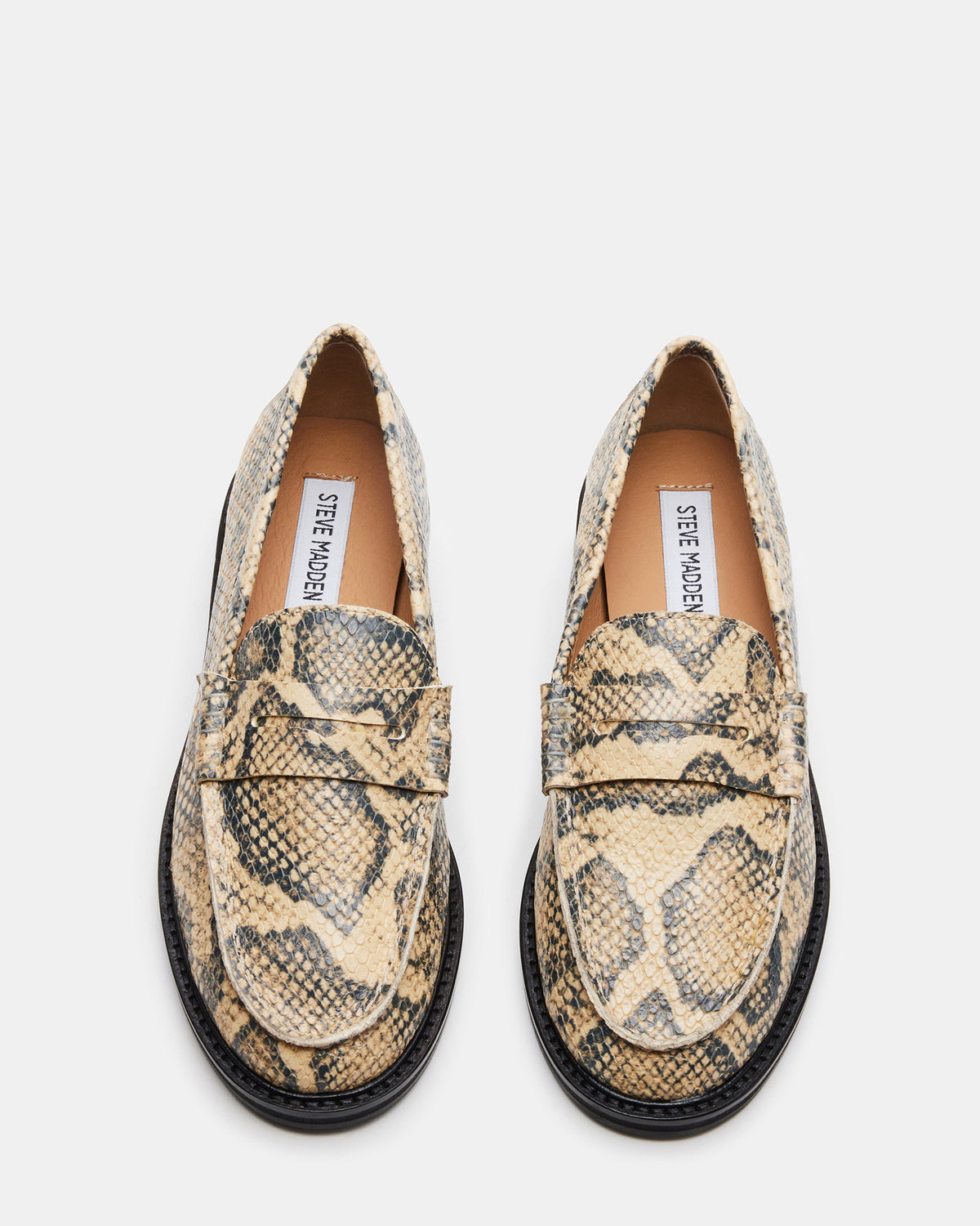 MADISON Snake Women's Penny Loafer | Steve Madden Trusted