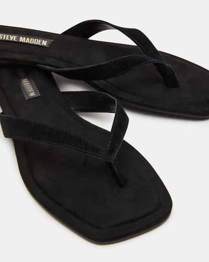 TRELLA Black Suede Square-Toe Thong Women's Sandal | Steve Madden Classic