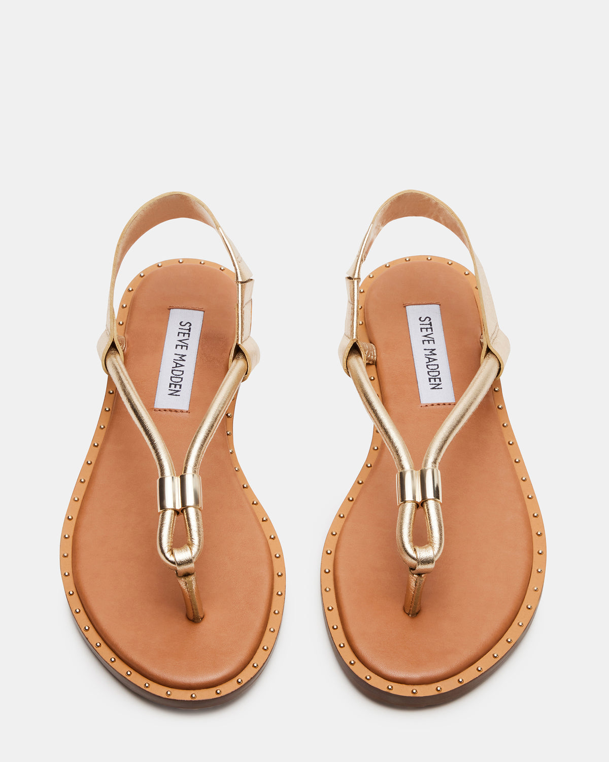 MEDUZA Gold Leather Women's Studded Thong Sandal | Steve Madden Best Seller