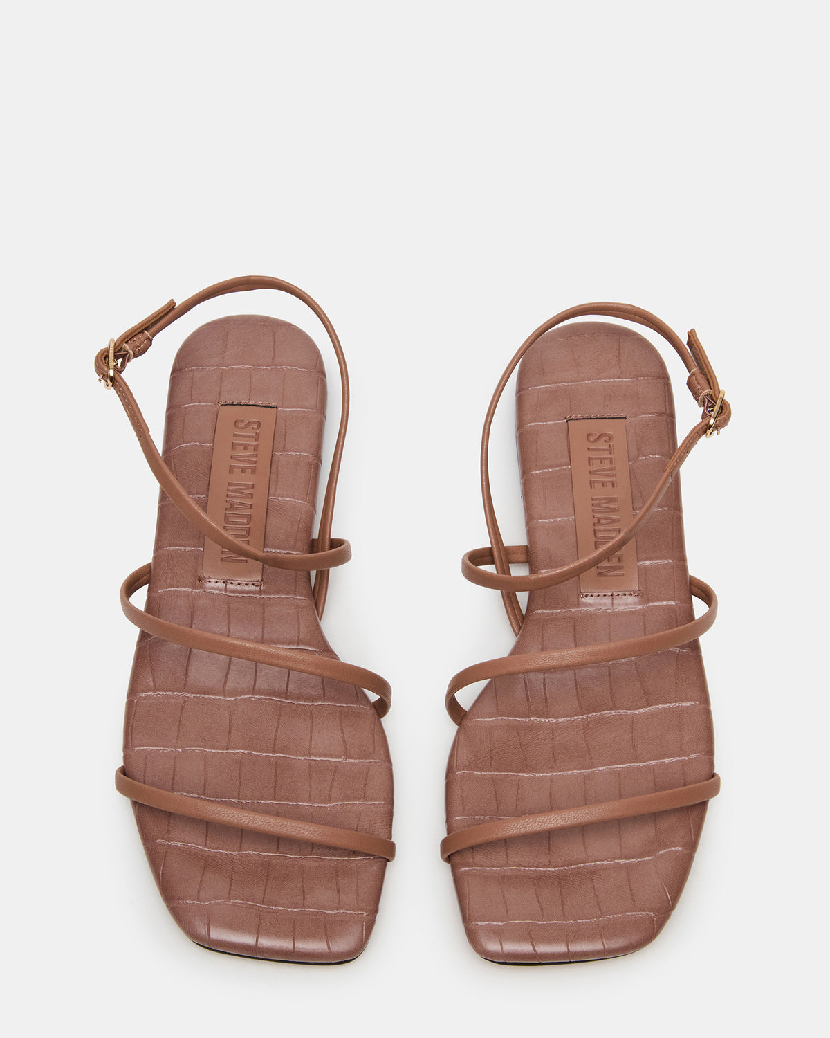 TANGO Mocha Square-Toe Strappy Women's Sandal | Steve Madden Latest