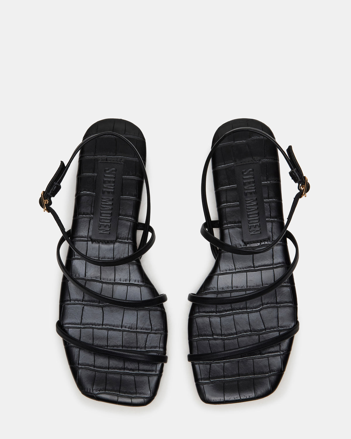 TANGO Black Square-Toe Strappy Women's Sandal | Steve Madden Top Pick
