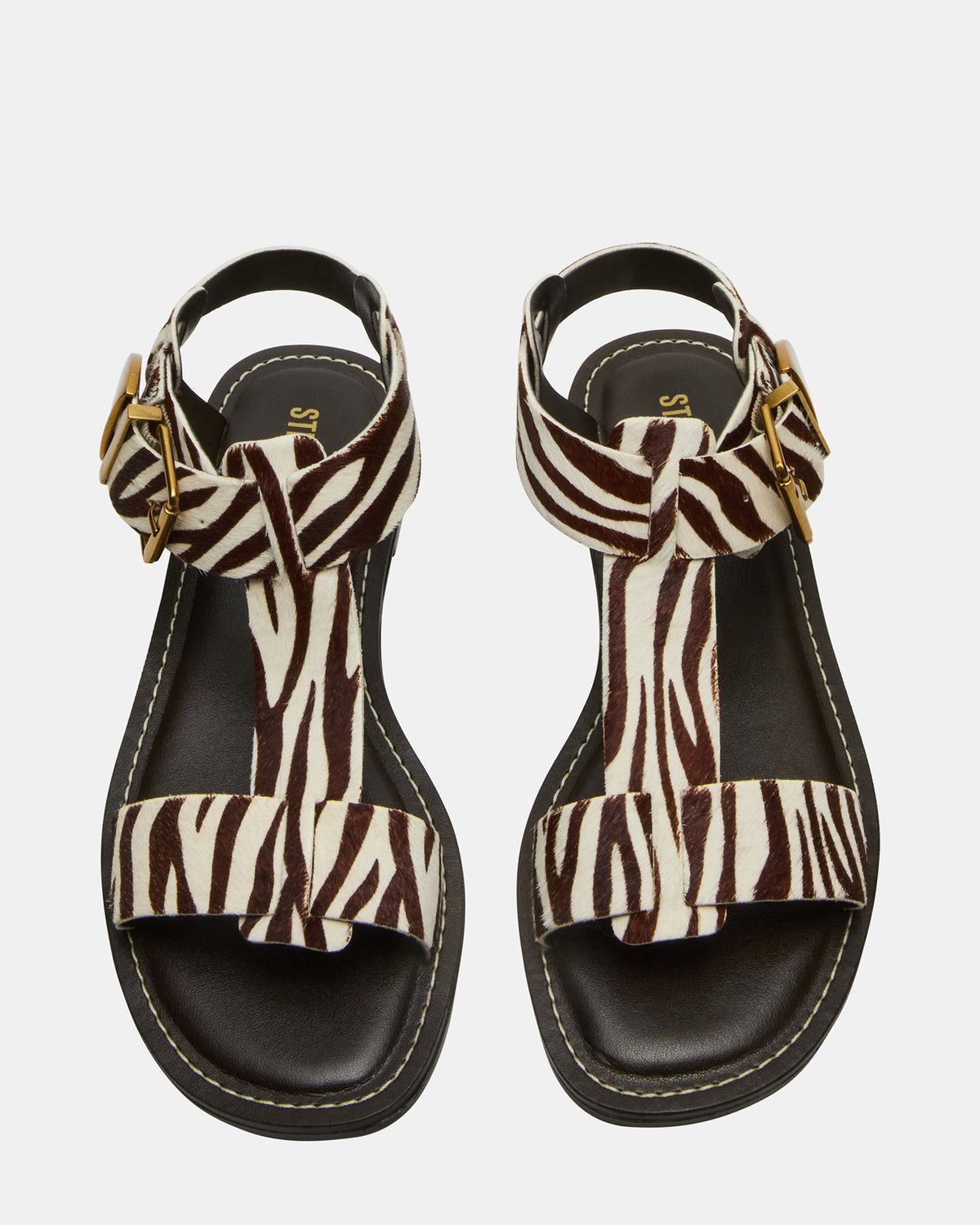 BRAZINN Zebra Strappy Flat Sandal Women's Sandal | Steve Madden Best Seller