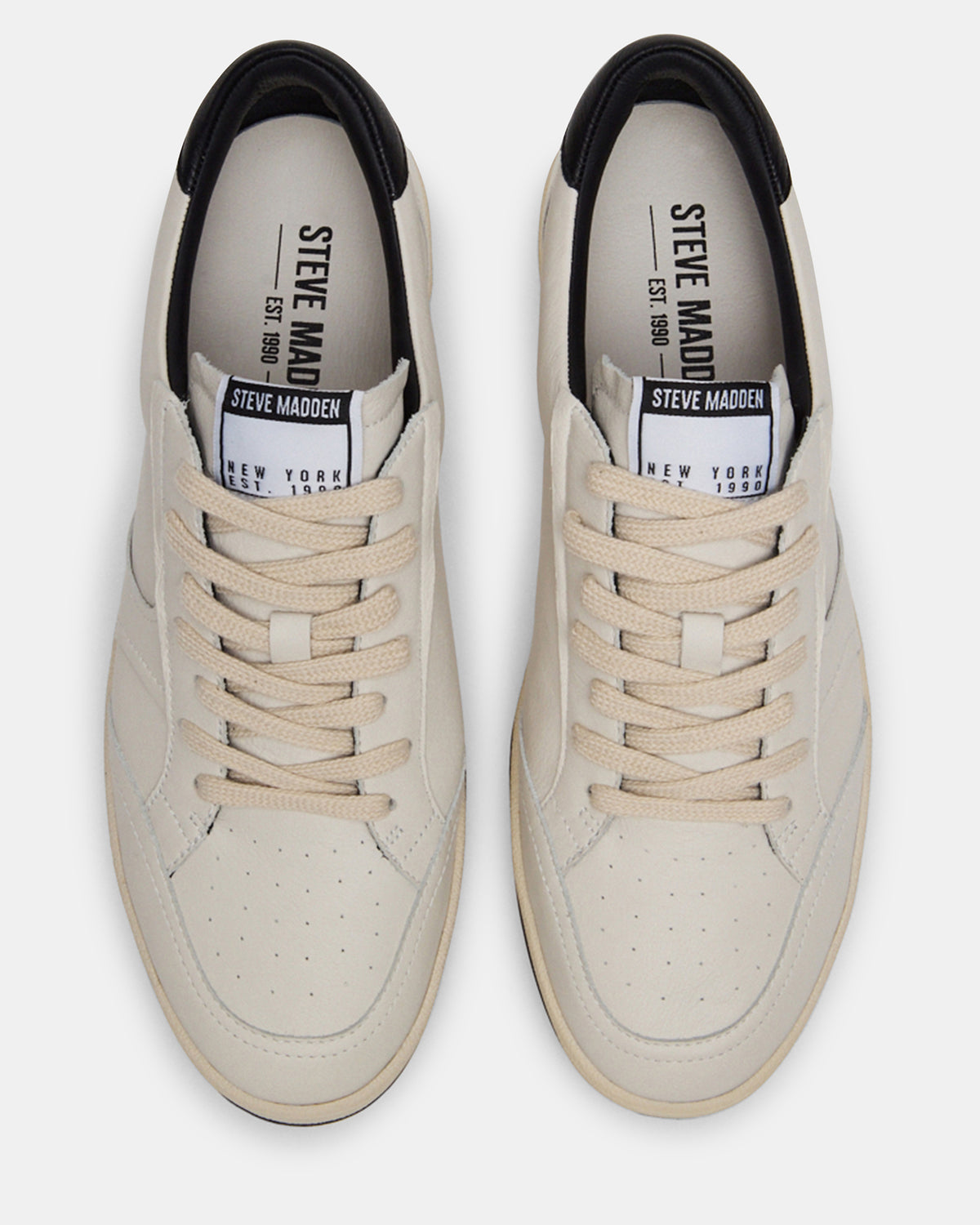PRISMO Black Multi Low-Top Lace-Up Men's Sneaker | Steve Madden Great Value