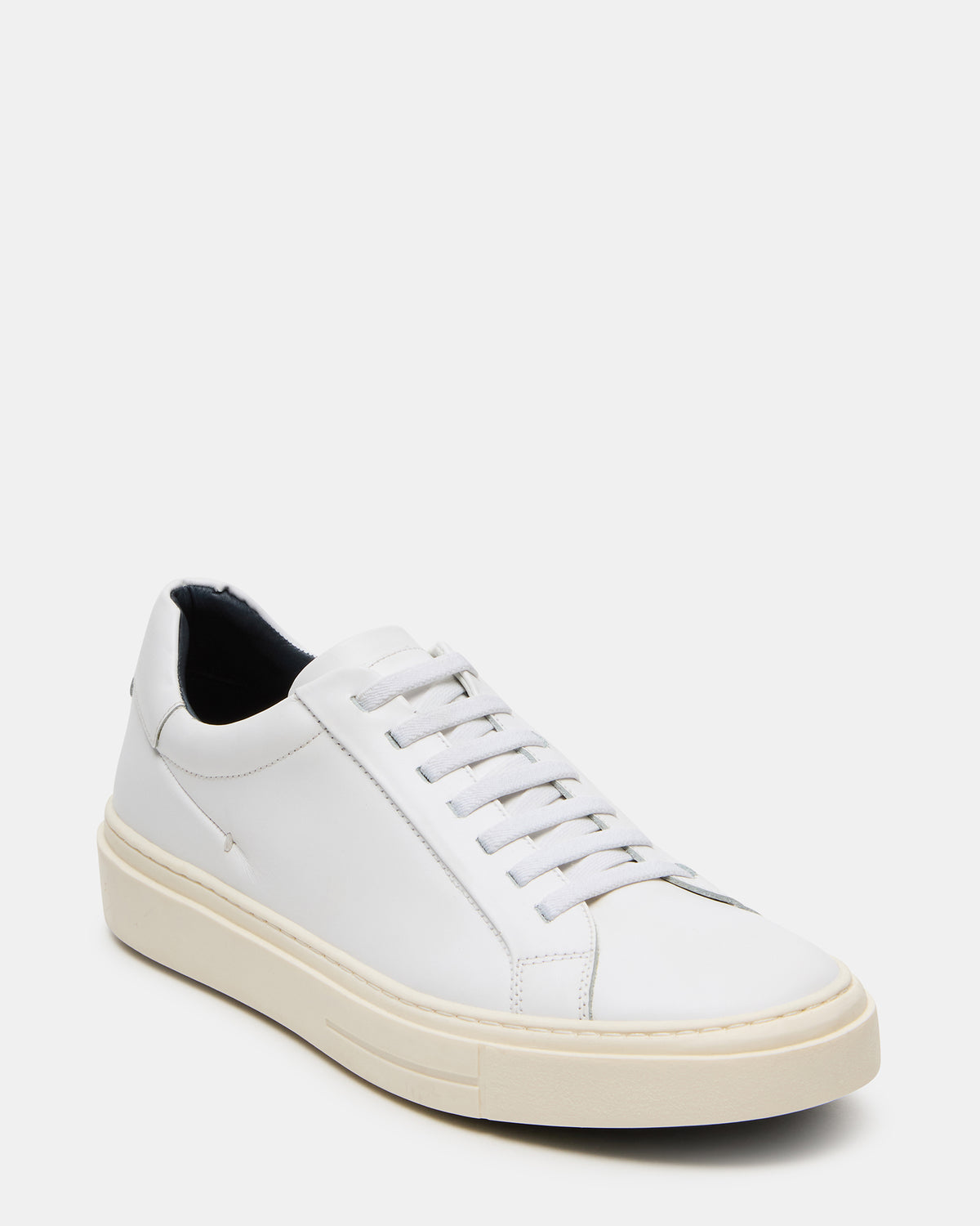 ZOII White Leather Men's Low-Top Lace-Up Sneaker | Steve Madden Trending