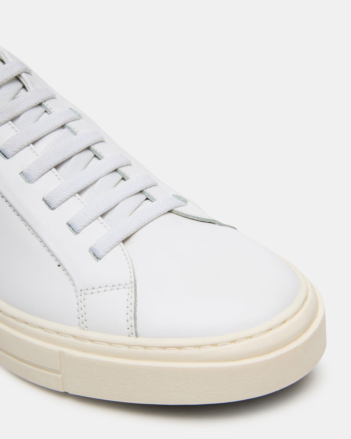 ZOII White Leather Men's Low-Top Lace-Up Sneaker | Steve Madden Trending