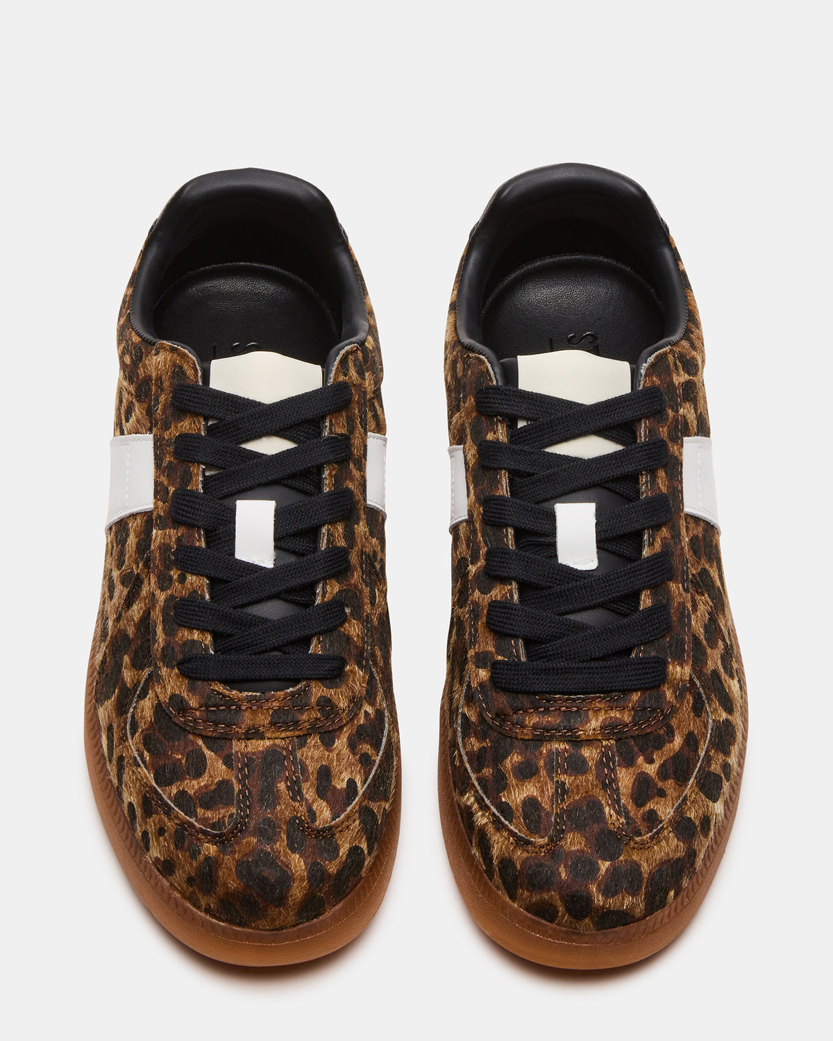 DIXON Leopard Low-Top Panel Men's Sneaker | Steve Madden Special Offer