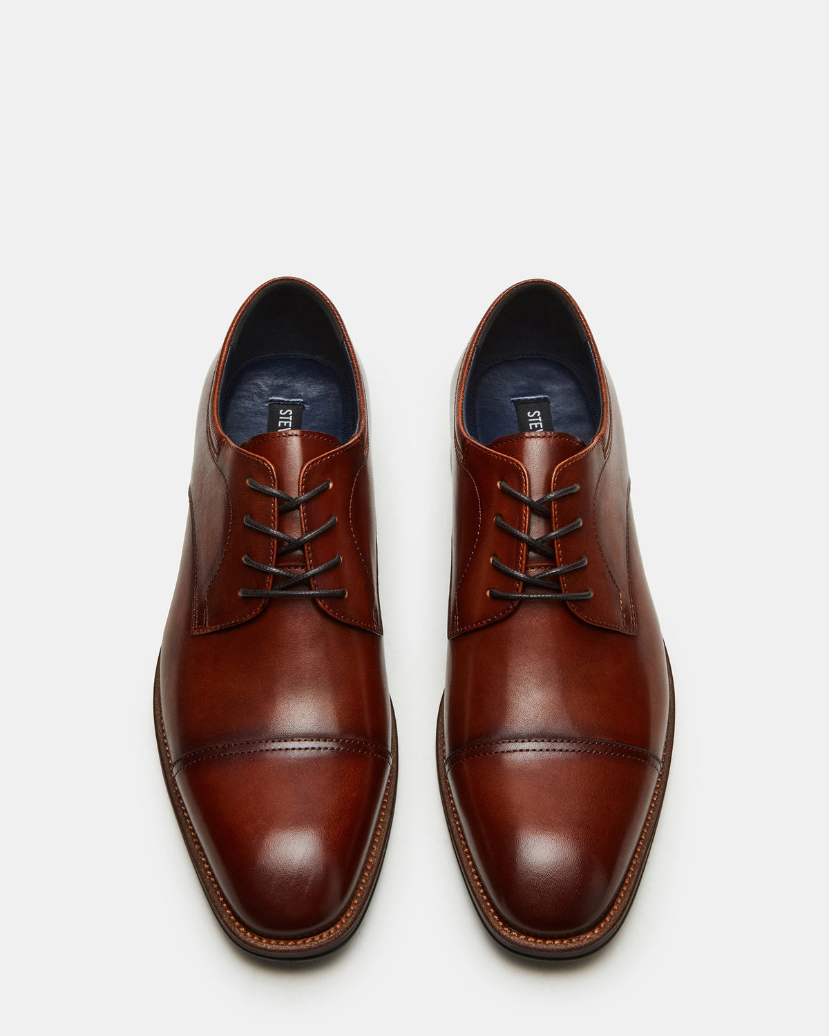 HASEN Tan Leather Men's Lace-Up Dress Shoe | Steve Madden Exclusive