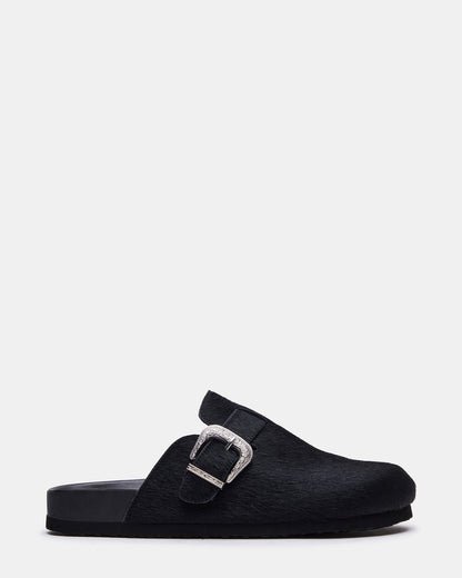 WOOLY Black Slip-On Men's Casual Clog | Steve Madden Exclusive