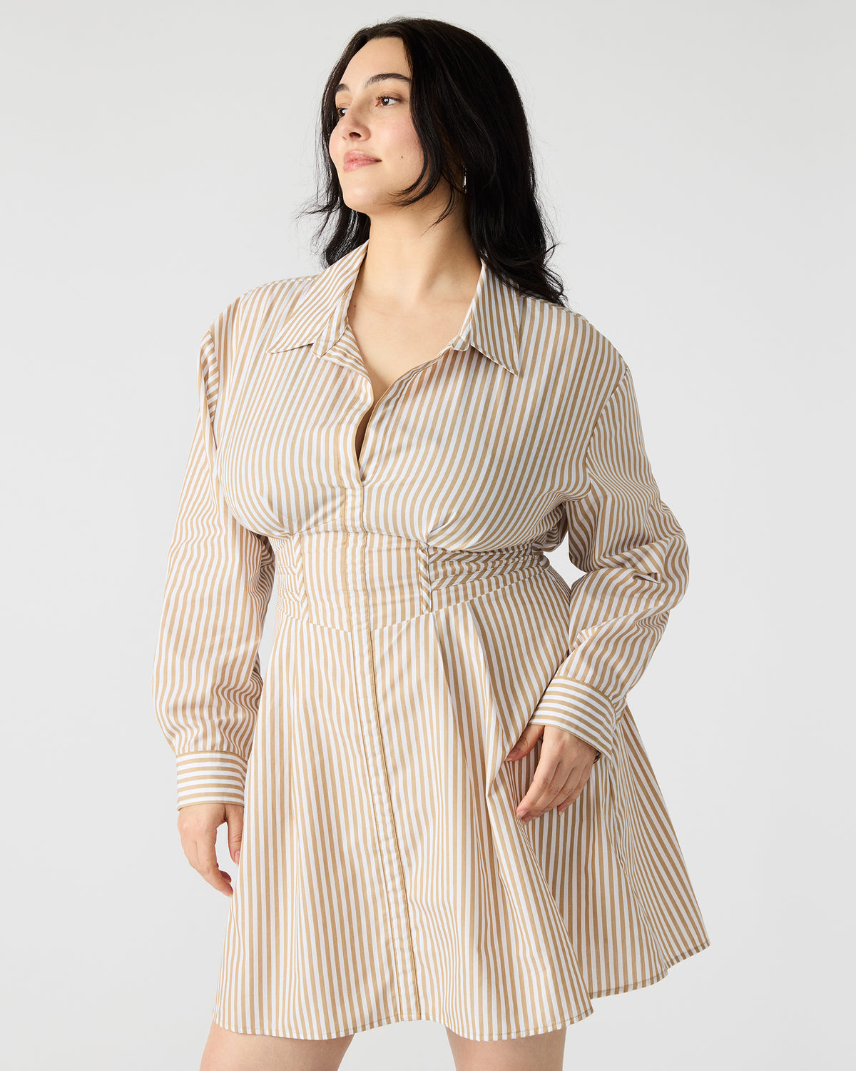 ARIA Taupe Women's Button-Up Mini Dress | Steve Madden Discount