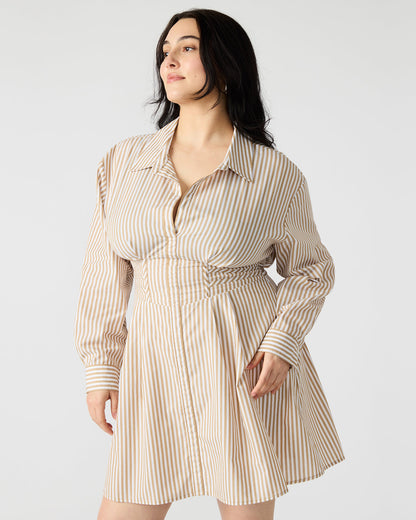 ARIA Taupe Women's Button-Up Mini Dress | Steve Madden Discount