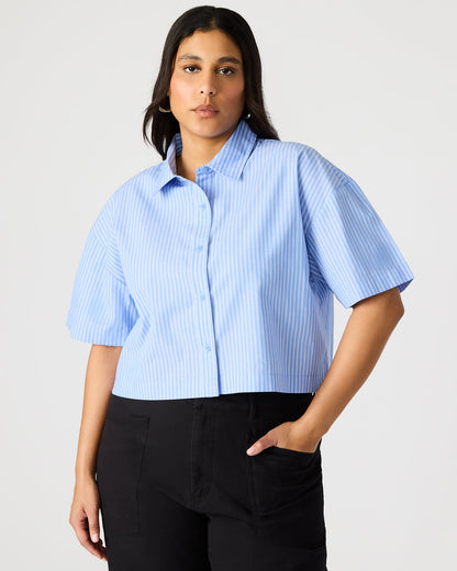 TULA Blue/White Women's Collared Button-Up Pinstripe Top | Steve Madden Trending