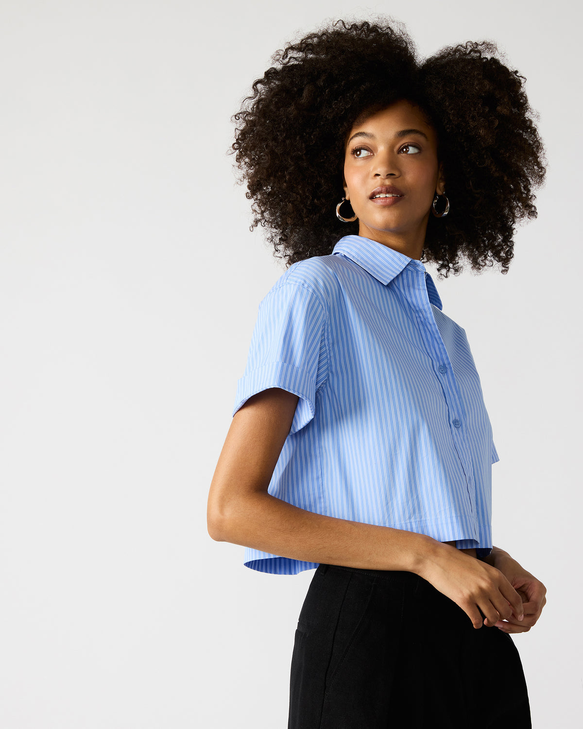 TULA Blue/White Women's Collared Button-Up Pinstripe Top | Steve Madden Trending