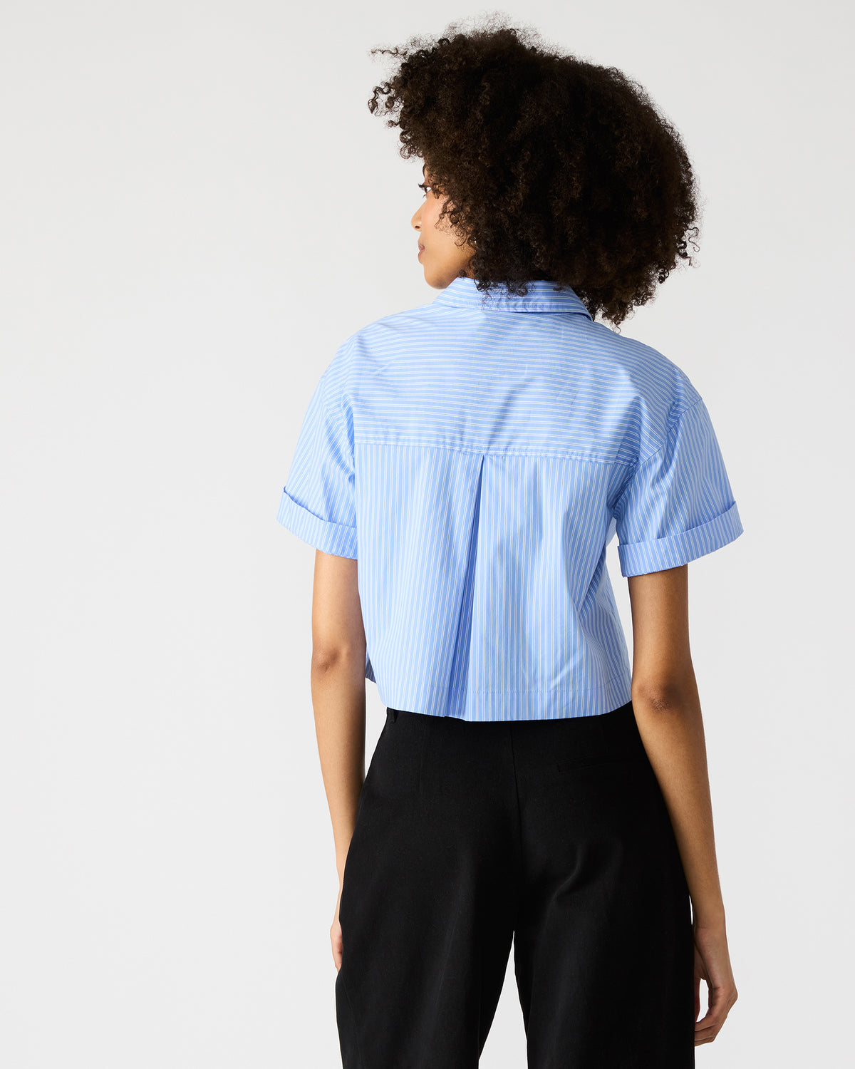 TULA Blue/White Women's Collared Button-Up Pinstripe Top | Steve Madden Trending
