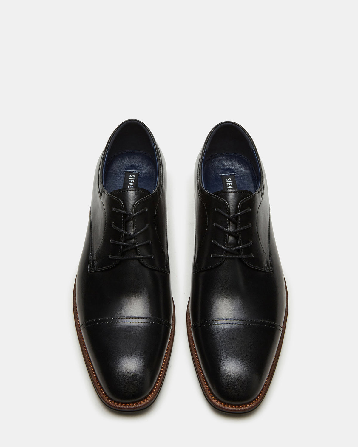 HASEN Black Leather Men's Lace-Up Dress Shoe | Steve Madden Popular