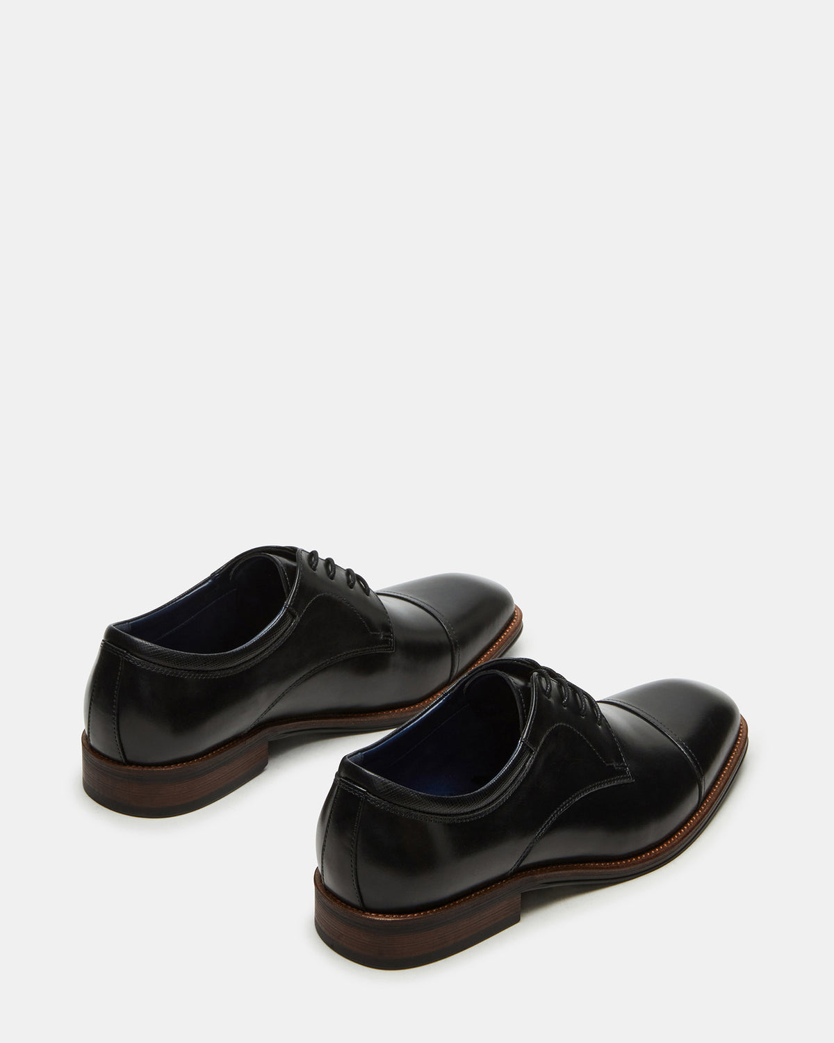 HASEN Black Leather Men's Lace-Up Dress Shoe | Steve Madden Popular